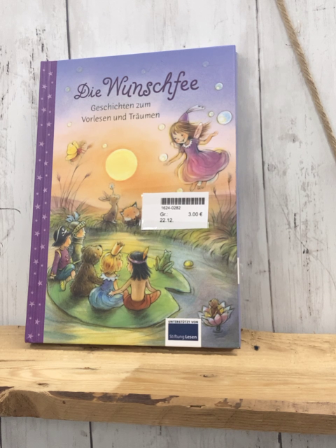  Buch Die Wunschfee Geschichten zum Vorlsen und Träumen 