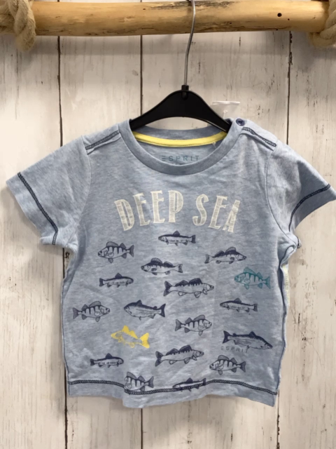 Esprit  T-Shirt  Gr. 68  helblau Fische Schrift 