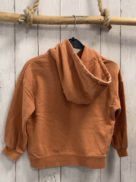 Zara  Pullover  Gr. 110  curry Kapuze 