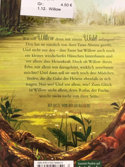 Willow  Buch Ein Mädchen namens Willow  