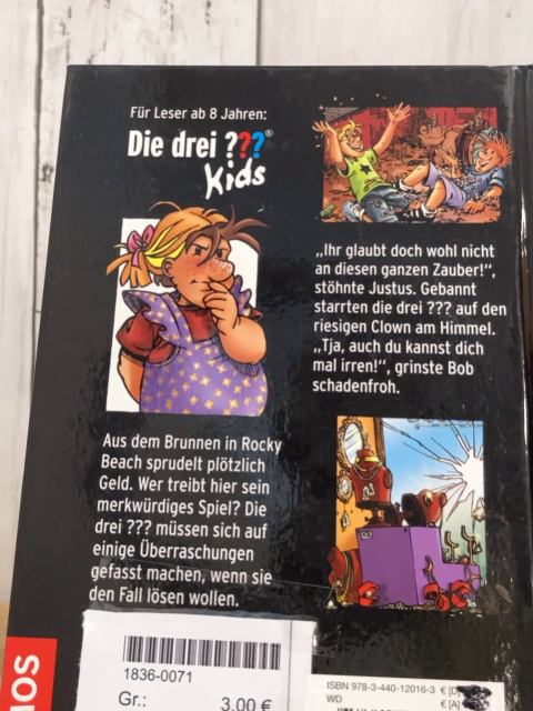 Drei??? Kids  Buch Der magische Brunnen