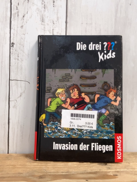 Drei??? Kids  Buch Invasion der Fliegen