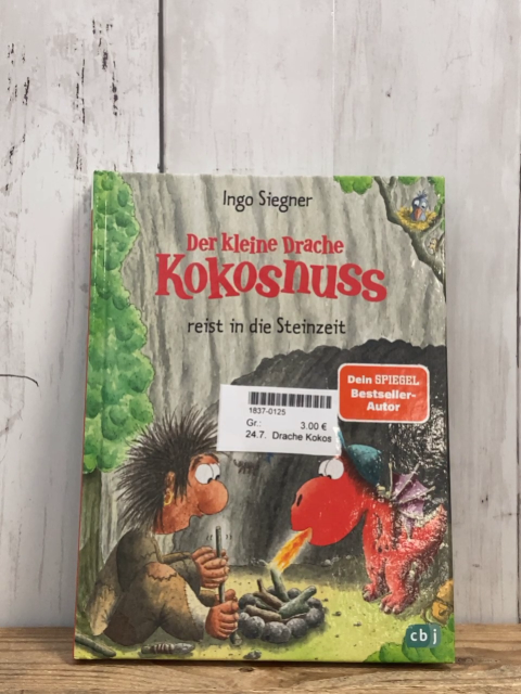 Drache Kokosnuss  Buch ... reist in die Steinzeit 