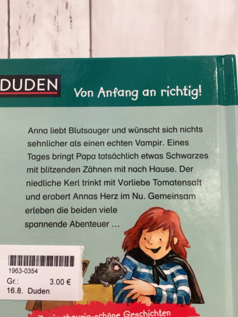 Duden  Buch Schaurige Geschichten vom Meerscheinchenvampir 