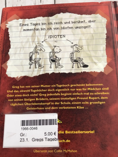 Gregs Tagebuch  Buch von Idioten umzingelt 