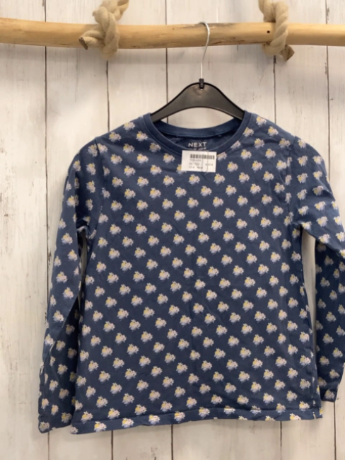 Next  Langarmshirt  Gr. 122  petrol Blumen 