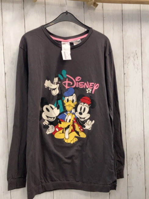 H&M Langarmshirt  Gr. 170  grau Disneyfiguren rosa Schrift 