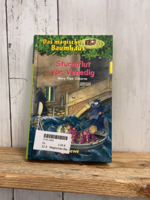 Magisches Baumhaus  Buch Sturmflut vor Venedig 