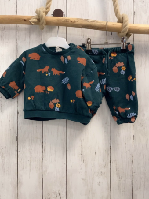 2tg H&M  Pullover + Jogginghose  Gr. 62  grün Waldtiere Blätter 