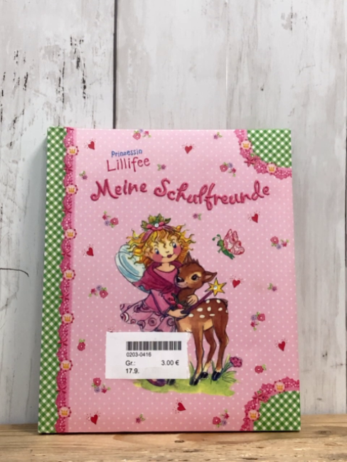  Buch Prinzessin Lillifee Meine Schulfreunde 