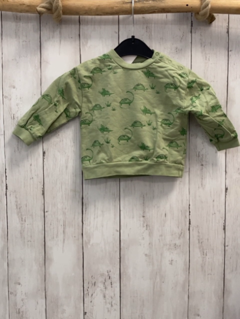 Alana  Pullover  Gr. 68  hellgrün grüne Dinos 