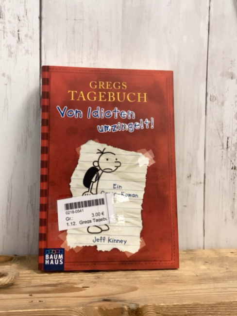 Gregs Tagebuch Taschenbuch Von Idioten umzingelt 