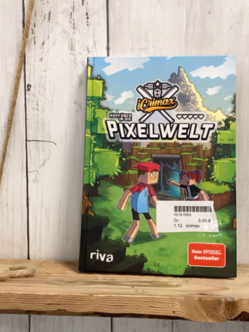 icrimax  Buch Kopfüber in die Pixelwelt 