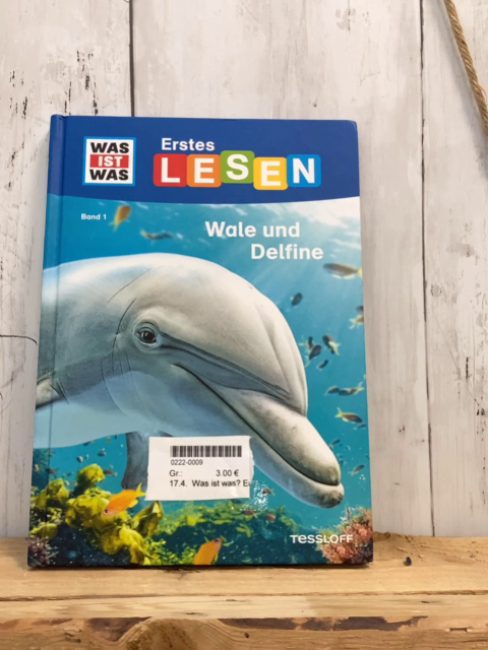Was ist was? Erstes Lesen  Buch Wale und Delfine 