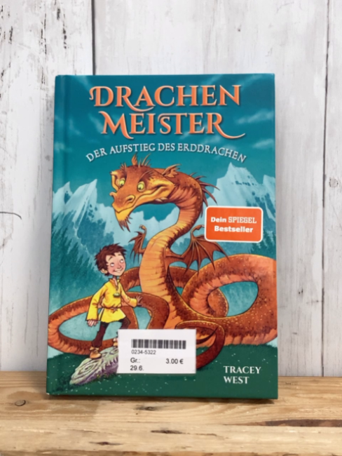   Buch Drachenmeister Der Aufstieg des Erddrachen 