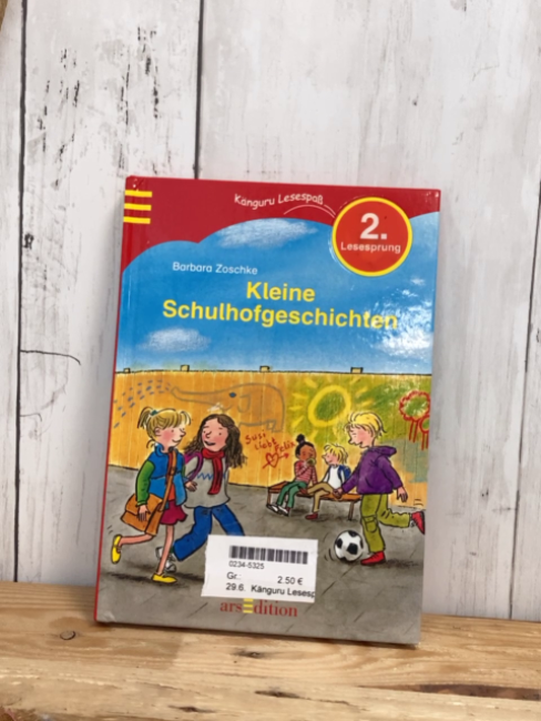 Känguru Lesespaß  Buch Kleine Schulhofgeschichten 