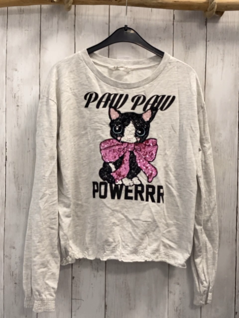H&M  Pullover  Gr. 158  hellgrau Pailettenkatze schwarze Schrift 