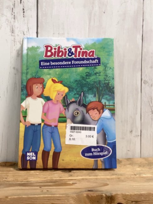  Buch Bibi und Tina