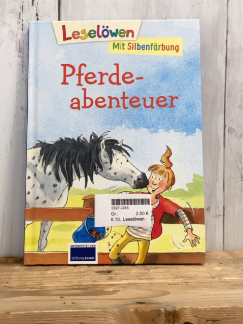 Leselöwen Leselernbuch Pferdeabenteuer