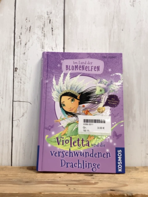   Buch Im Land der Blumenelfen 