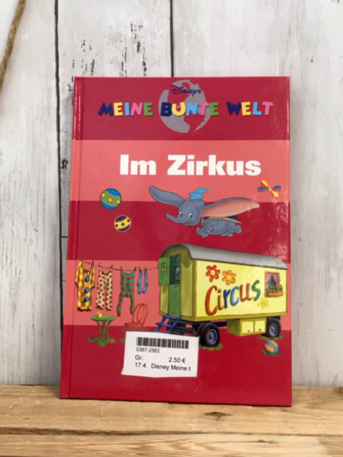 Disney Meine bunte Welt  Buch  Im Zirkus 