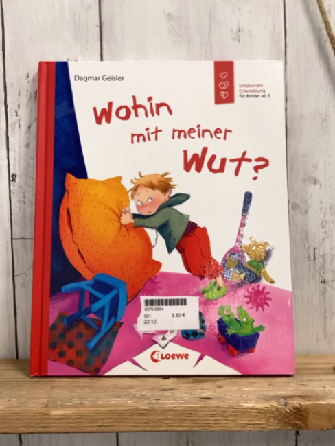   Buch Wohin mit meiner Wut?