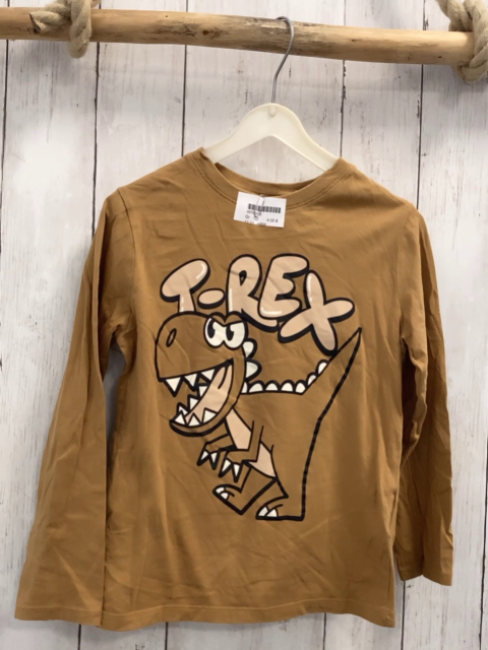H&M  Langarmshirt  Gr. 122  ocker Dino Schrift 