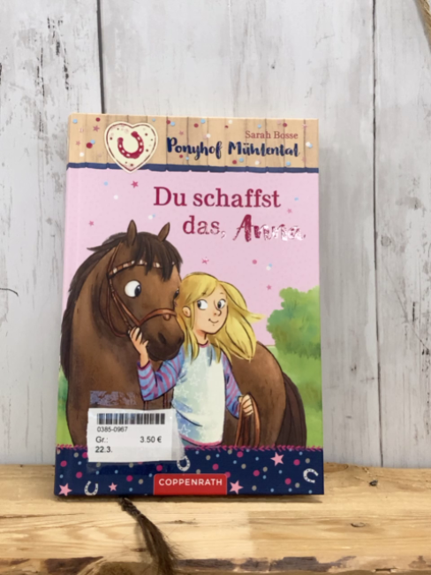  Buch Du schaffst das, Anna