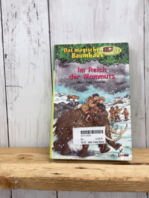 das magische Baumhaus Buch Im Reich der Mammut