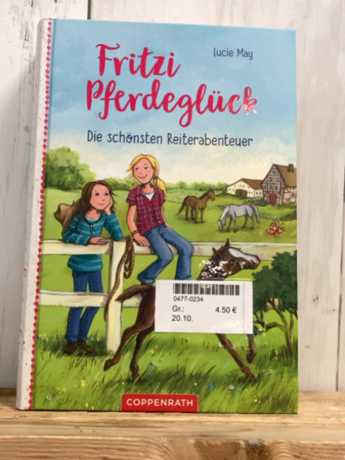  Buch Fritzi Pferdeglück Die schönsten Reiterabenteuer 