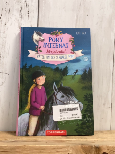 Pony Internat  Buch Rätsel um das schwarze Pony 