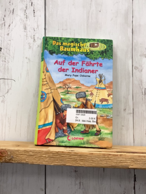 das mag. Baumhaus Buch Auf der Fährte der Indianer