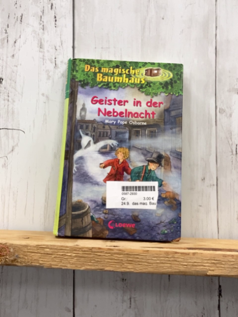 das mag. Baumhaus Buch Geister in der Nebelnacht