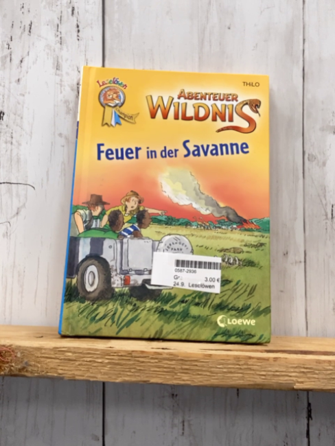 Leselöwen Leselernbuch Feuer in der Savanne