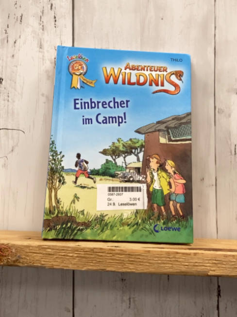 Leselöwen Leselernbuch Einbrecher im Camp