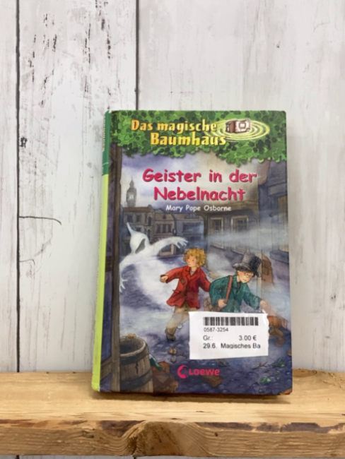 Magisches Baumhaus  Buch Geister in der Nebelnacht 