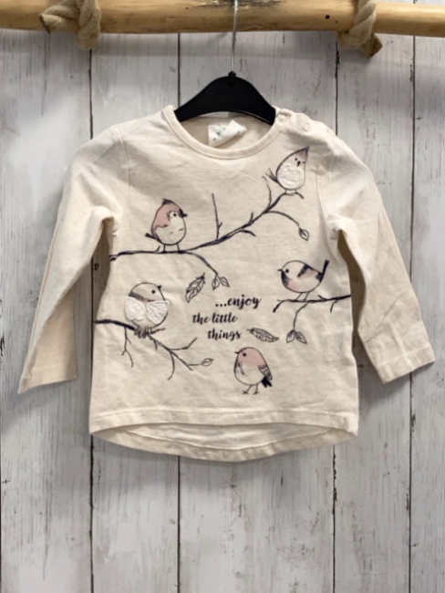  Langarmshirt Gr. 80  beige Ast Vögel Schrift