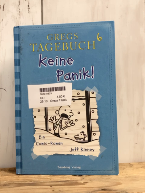 Gregs Tagebuch  Buch Bd 6 Keine Panik 