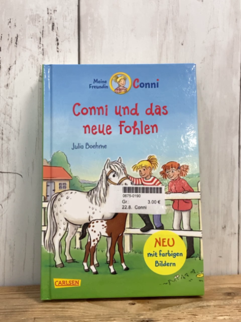 Buch Conni und das neue Fohlen
