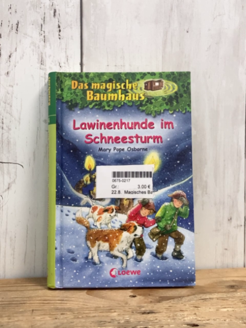 Magisches Baumhaus  Buch Lawinenhunde im Schneesturm 