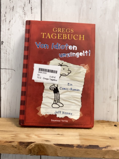 Gregs Tagebuch  Buch 1: Von Idioten umzingelt 