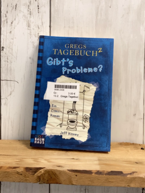 Gregs Tagebuch  Taschenbuch 2: Gibt´s Probleme?