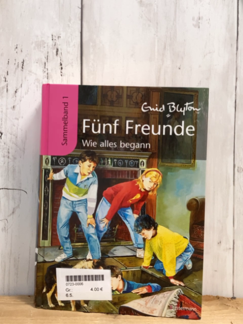  Buch Fünf Freunde Wie alles begann