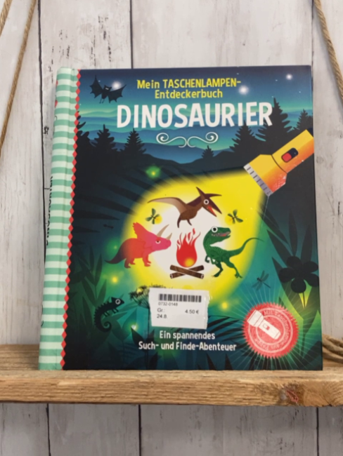  Pappbuch Mein Taschenlampen-Entdeckerbuch Dinosaurier