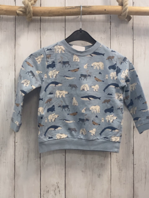 Alana  Pullover  Gr. 104  hellblau Arktivbewohner 