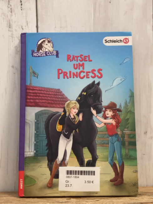  Buch Horse Club Rätsel umd Princess 
