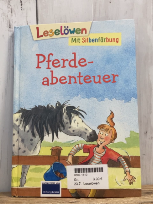 Leselöwen  Buch Pferdeabenteuer 
