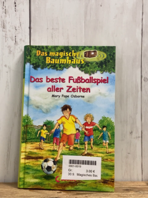 Magisches Baumhaus  Buch Das beste Fußballspiel aller Zeiten 