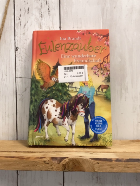 Eulenzauber  Buch Eine wunderbare Freundschaft 