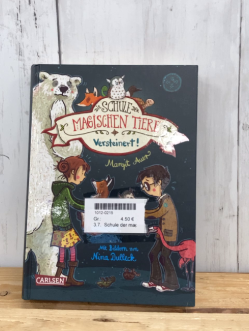 Schule der magischen Tiere  Buch Versteinert 